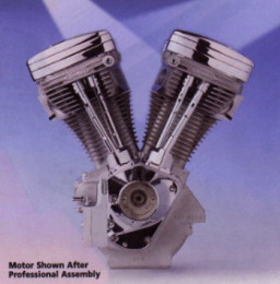 motor14.jpg (19539 bytes)